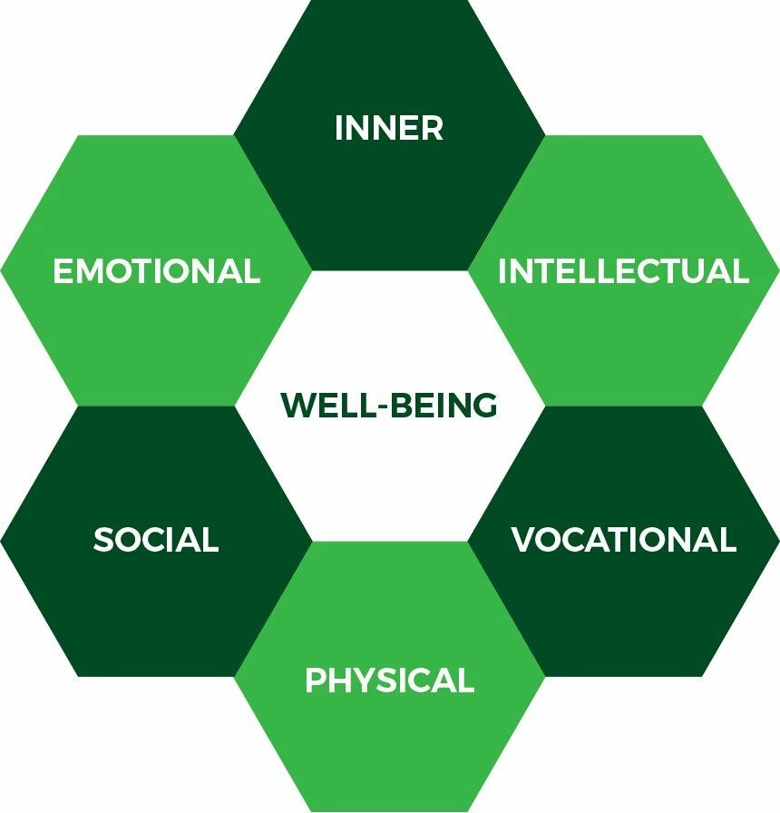 What is well-being hexagram