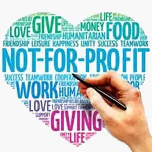 The Benefits of Not-for-profits